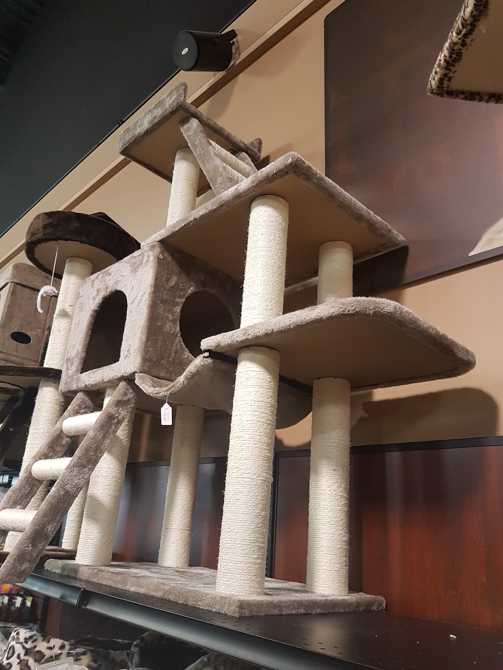 Pet Valu | 9410 86 Ave #103, Fort Saskatchewan, AB T8L 4P4, Canada | Phone: (780) 998-0955