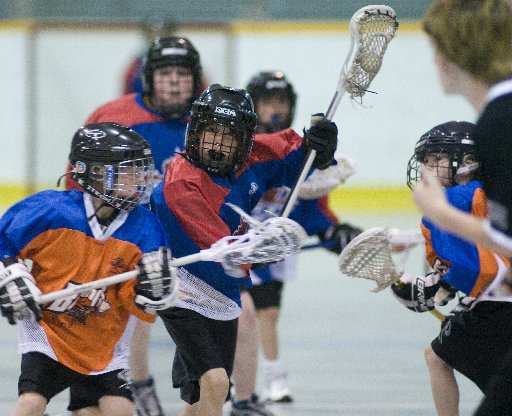 Hamilton Lacrosse Association | 91 Chedmac Dr, Hamilton, ON L9C 7R5, Canada | Phone: (905) 389-6405