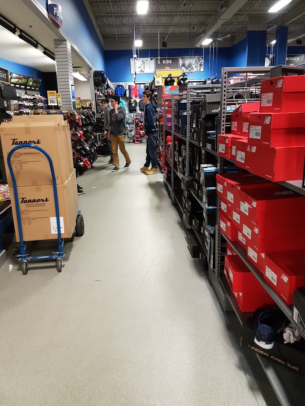 National Sports - Windsor | 3051 Legacy Park Dr, Windsor, ON N8W 5S6, Canada | Phone: (519) 969-2526