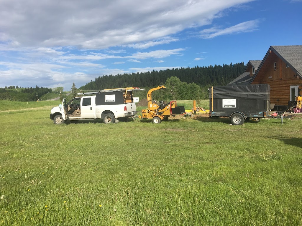 Bordernorth Tree Services & Construction | 224028 Priddis Ridge Rd W, Priddis, AB T0L 1W1, Canada | Phone: (587) 216-8372