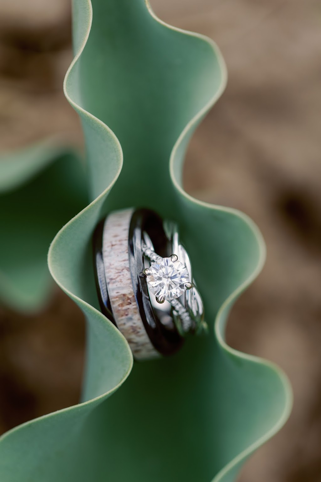The Photography Co. | 802 Alpha St, Owen Sound, ON N4K 3Z5, Canada | Phone: (519) 373-3471