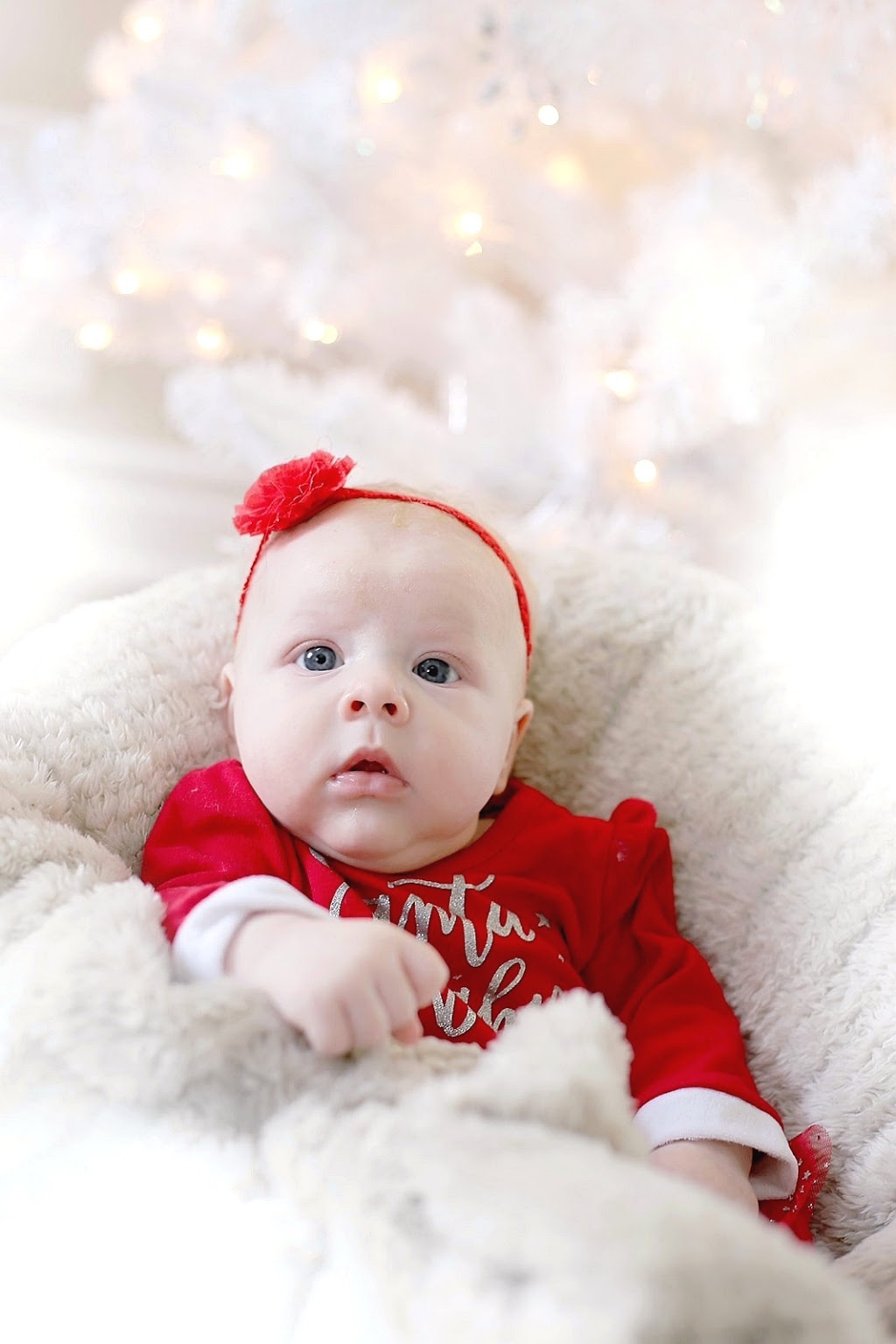 Book you photoshoot | 538 13th Line, Innisfil, ON L9S 3C8, Canada | Phone: (416) 471-3525