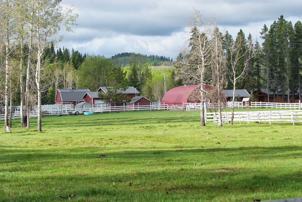 Folk Tree Lodge | 146212 HIghway 762, Bragg Creek, AB T0L 0K0, Canada | Phone: (403) 949-4120