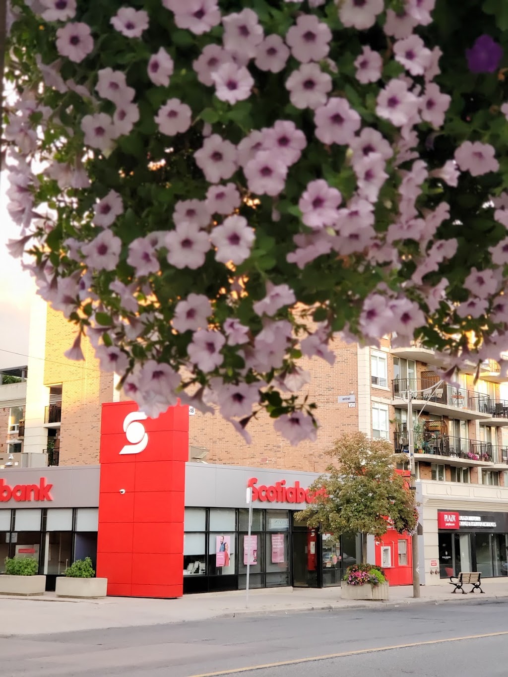 Scotiabank | 3169 Yonge St, Toronto, ON M4N 2K9, Canada | Phone: (416) 932-2144