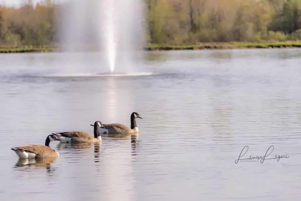 Camping Canne de Bois | 306 QC-219, Hemmingford, QC J0L 1H0, Canada | Phone: (450) 247-2031