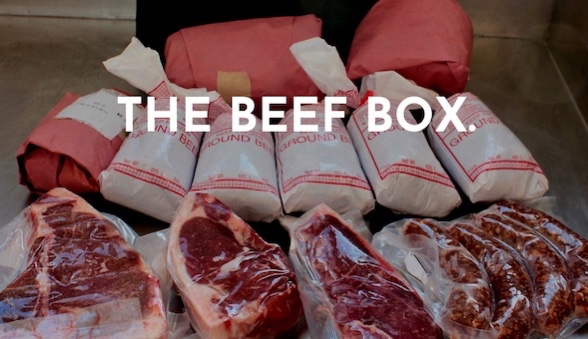 Fresh Roots Farm | MB-3, Cartwright, MB R0K 0L0, Canada | Phone: (204) 529-2083