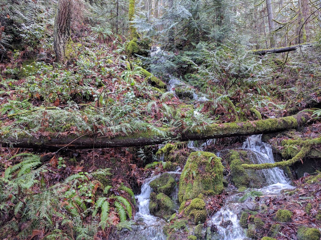 Gowlland Tod Provincial Park | Ross Durrance Rd, Highlands, BC V9E 2A3, Canada