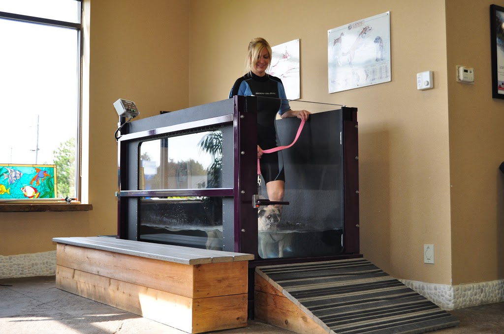 Essex Animal Hospital | 355 Talbot St N, Essex, ON N8M 2W3, Canada | Phone: (519) 776-7325