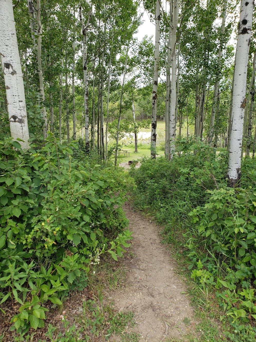 Lindbrook Star Gazer Campground & RV Park | near, 51123 Range Rd 200, Tofield, AB T0B 4J1, Canada | Phone: (780) 662-4439