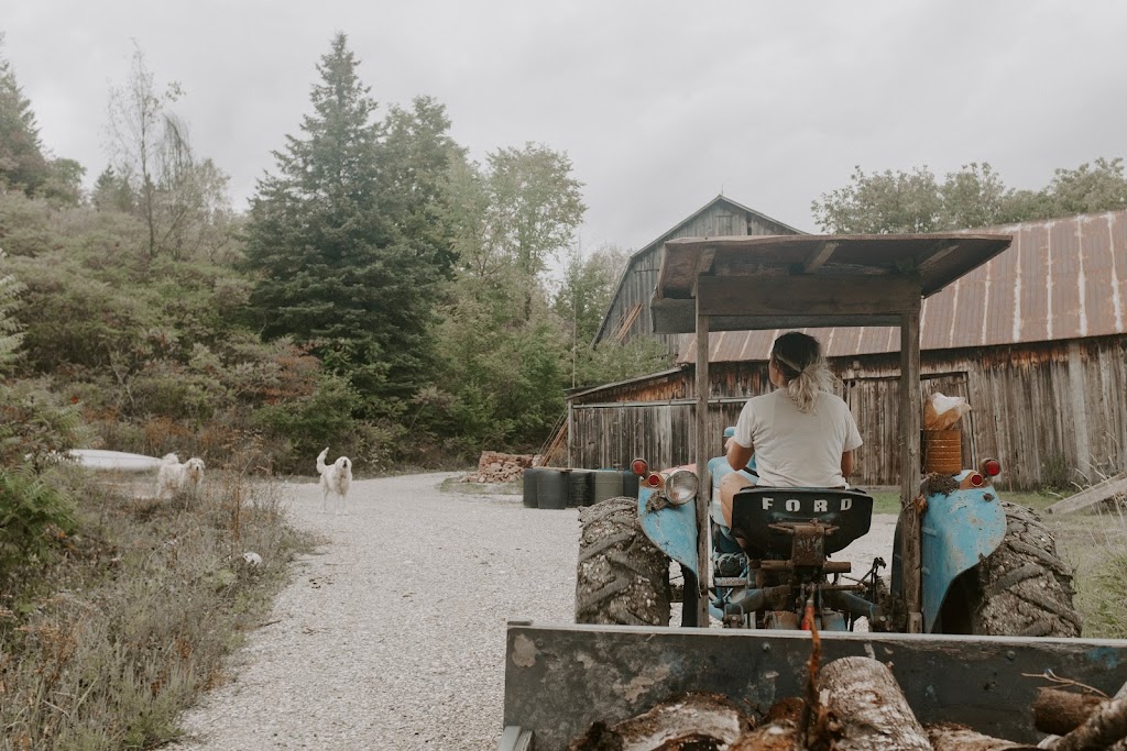 Ferme Thuya | 36 Chem. Kelly, Low, QC J0X 2C0, Canada | Phone: (613) 402-0376