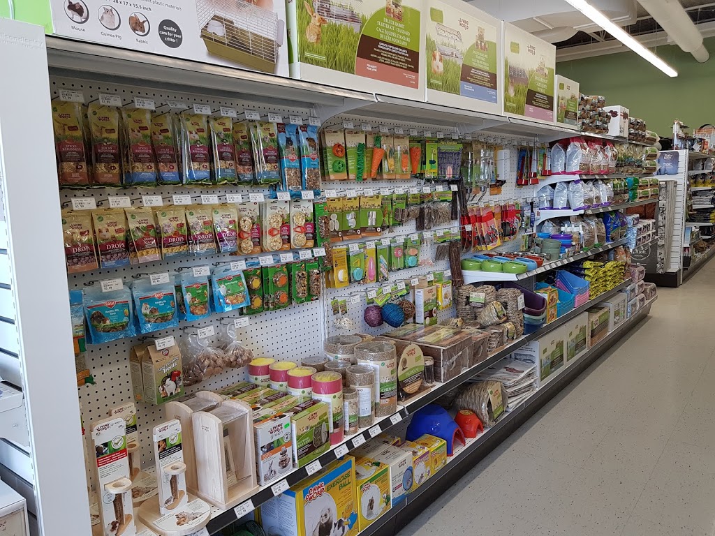 Ruffins Pet Centre (Fonthill) | 130 Hwy 20 E, Fonthill, ON L0S 1E0, Canada | Phone: (905) 892-3733