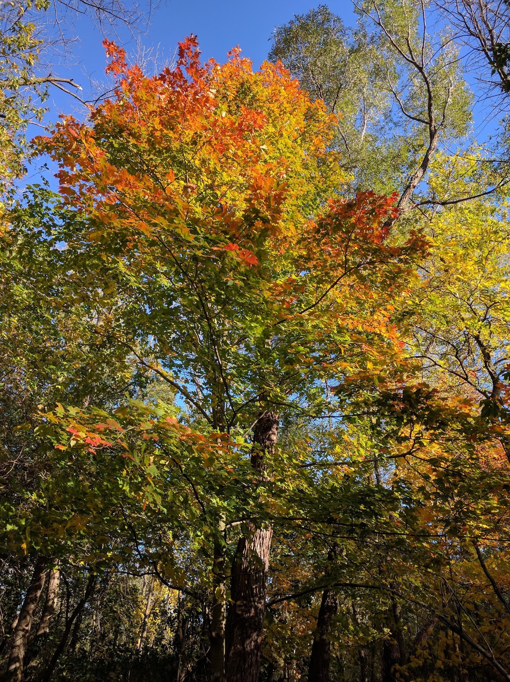 Joshuas Valley Park | 2301 Devon Rd, Oakville, ON L6J 5R2, Canada