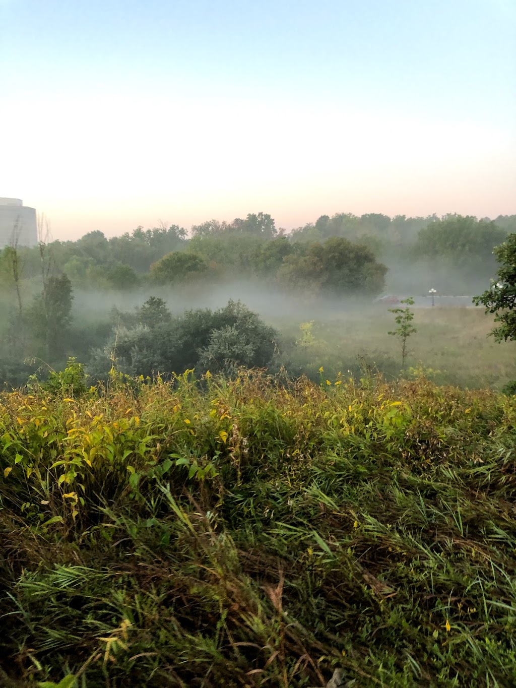 Moatfield Farm Park | 355 Lesmill Rd, North York, ON M3B 3P4, Canada | Phone: (416) 392-2489