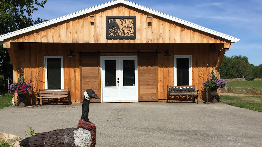 Rolling Hills Studio | S10445 Side Road 17, Sunderland, ON L0C 1H0, Canada | Phone: (416) 884-0812