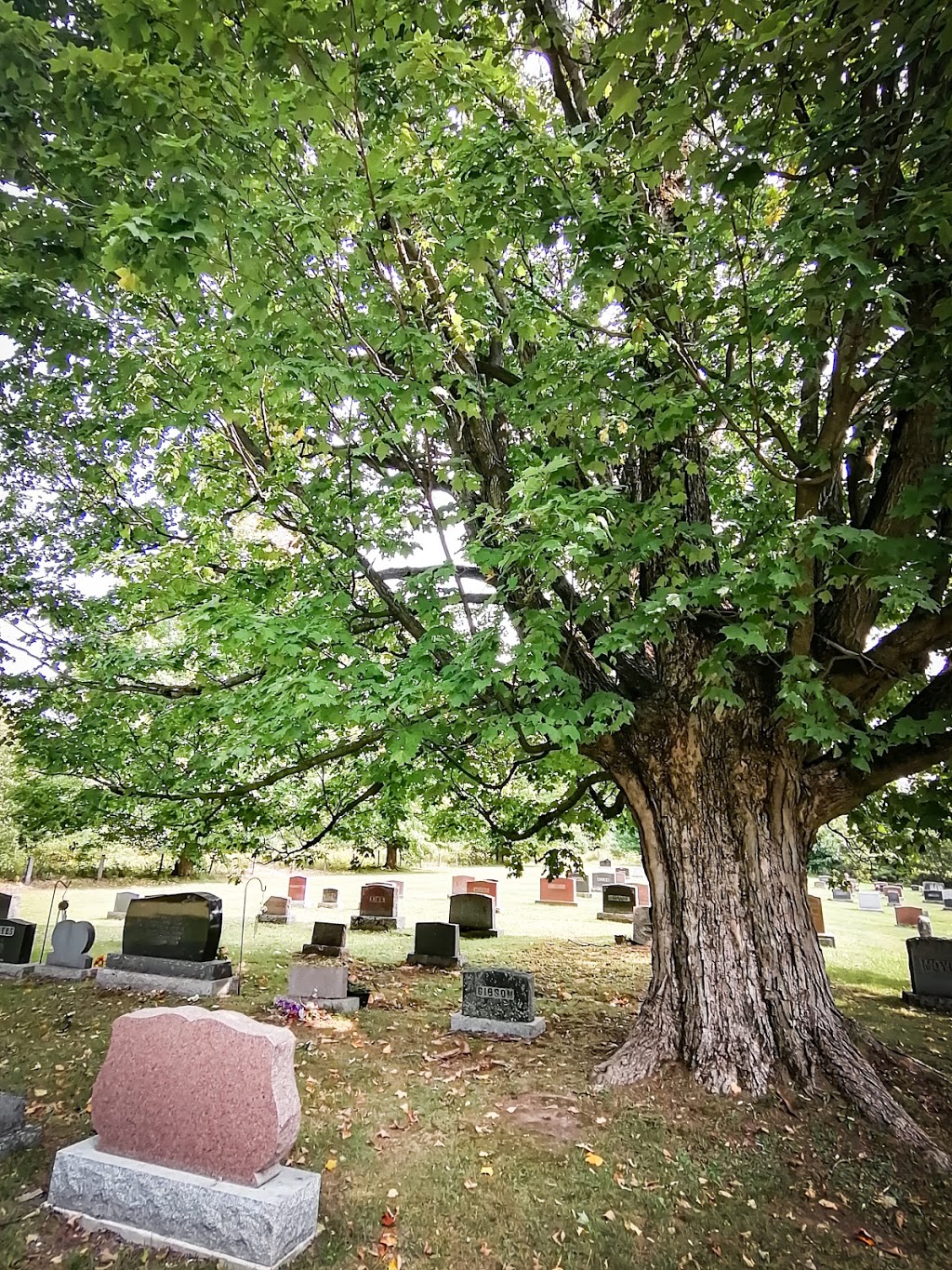Cimetière Riverside | 158 Chemin MapleDale, Brigham, QC J0E, Canada | Phone: (450) 260-1250