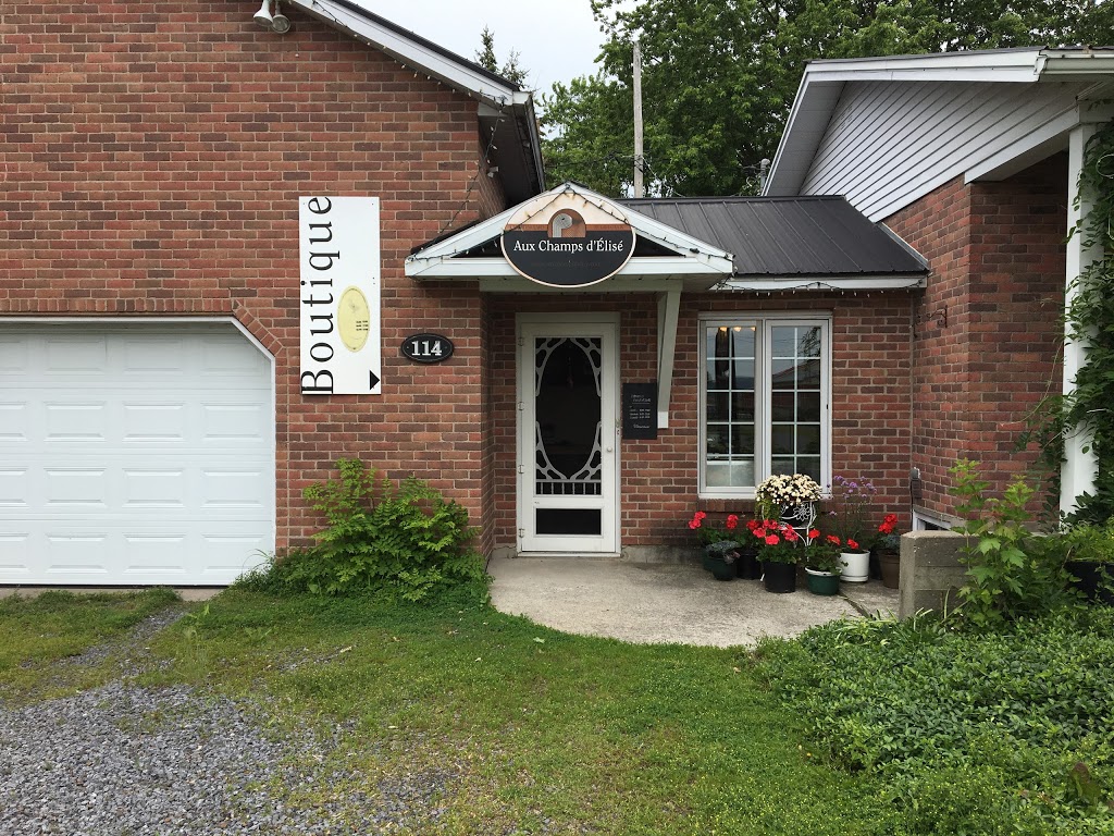 Aux champs dÉlisé | 114 Chemin du Vide, Marieville, QC J3M 1N9, Canada | Phone: (450) 460-7865