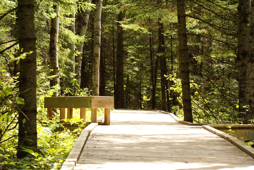 Brokenhead Wetland Interpretive Trail | 1 km south of and 12, 59 Provincial Trunk Hwy 12, Beaconia, MB R0E 0B0, Canada | Phone: (204) 250-4359