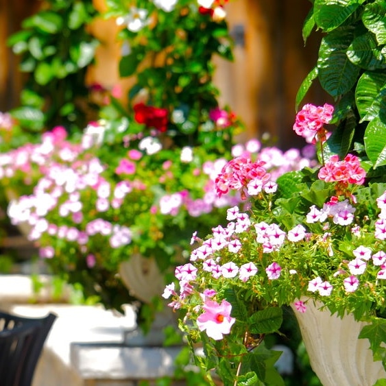Crystal landscaping | 159 Metro Rd S, Keswick, ON L4P 1W7, Canada | Phone: (416) 818-5063