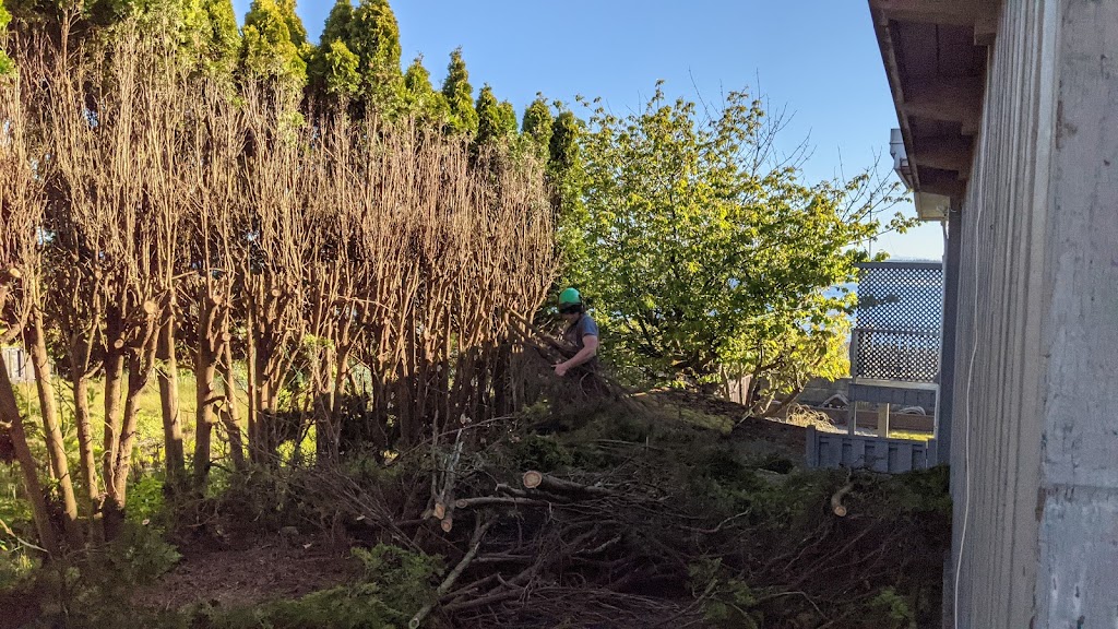 Above & Beyond Tree Service | 2234 Robb Ave, Comox, BC V9M 1J8, Canada | Phone: (250) 465-1993