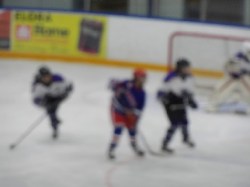 Elora Arena | 60 David St W, Elora, ON N0B 1S0, Canada | Phone: (519) 846-0411
