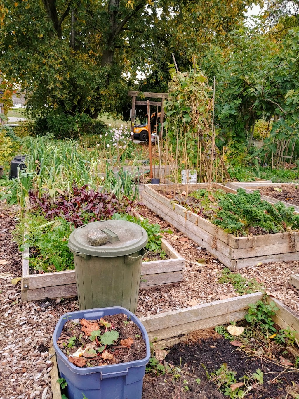 Strathcona Community Garden | 759 Malkin Ave, Vancouver, BC V6A 3Z9, Canada | Phone: (604) 677-5634