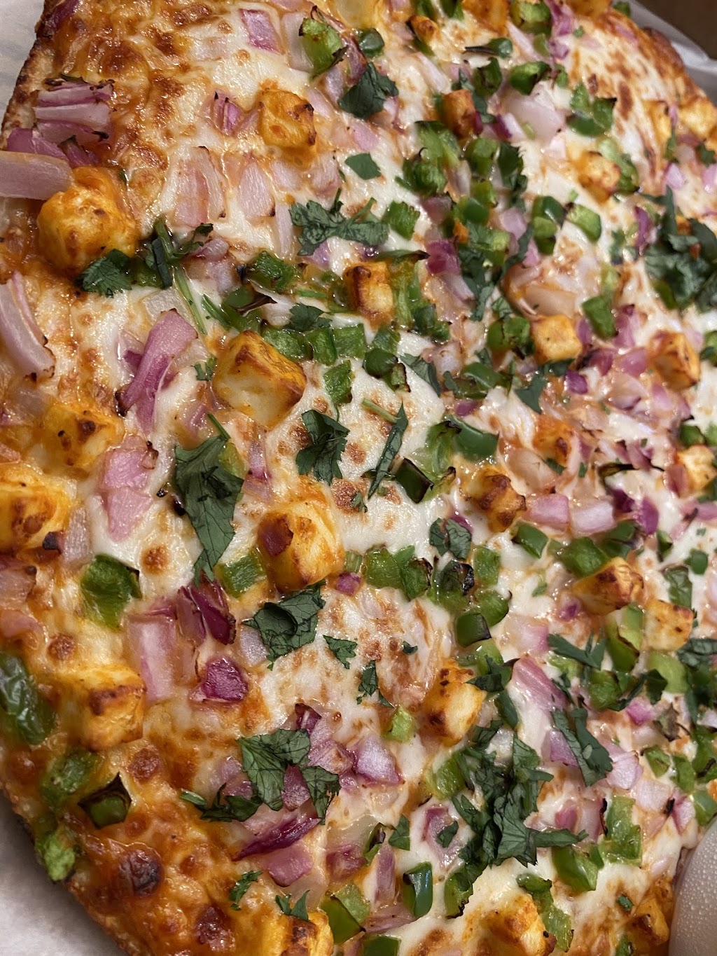 Downtown Pizza - Halifax | 215 Chain Lake Dr, Halifax, NS B3S 1C9, Canada | Phone: (902) 446-2221