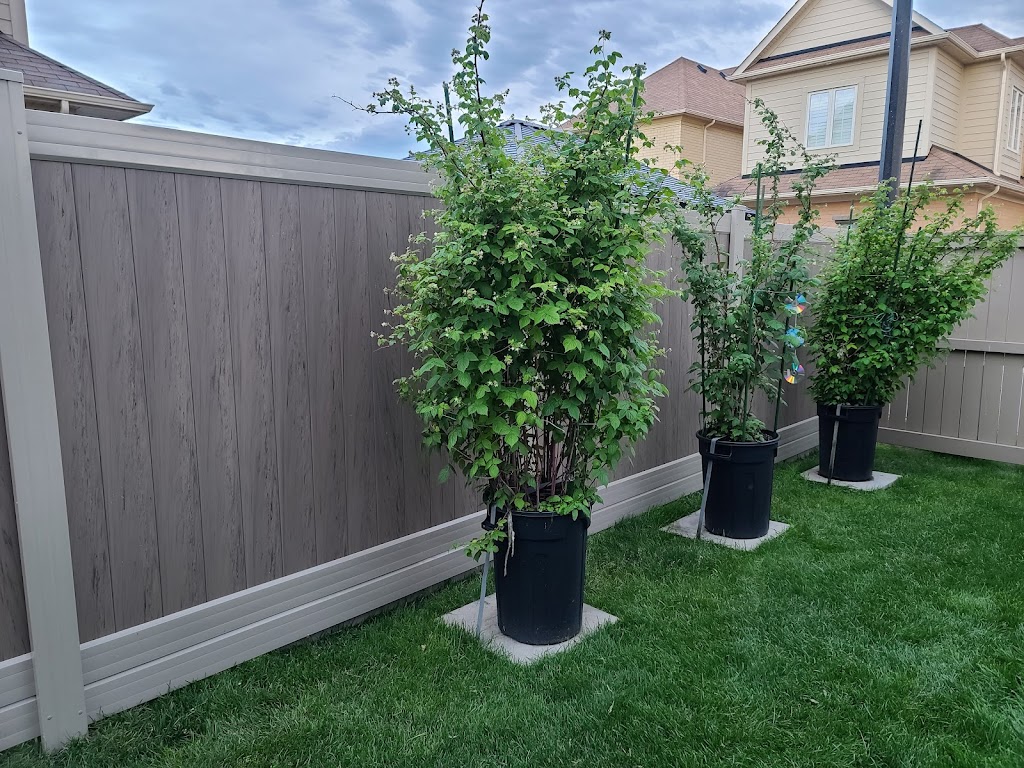 Fencing DMV | 177 Tom Taylor Crescent, Newmarket, ON L3X 3E9, Canada | Phone: (289) 395-0760