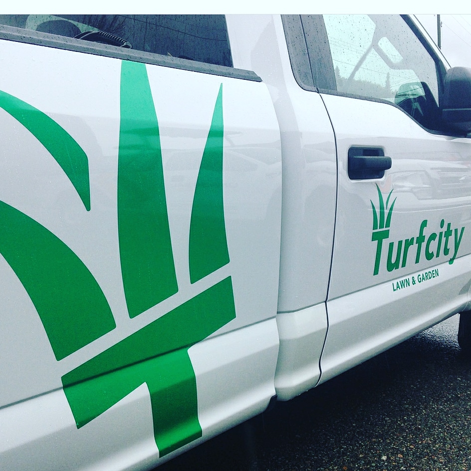 Turfcity Lawn Pros + | 693 Fairview St, Coquitlam, BC V3J 4B3, Canada | Phone: (604) 780-5304