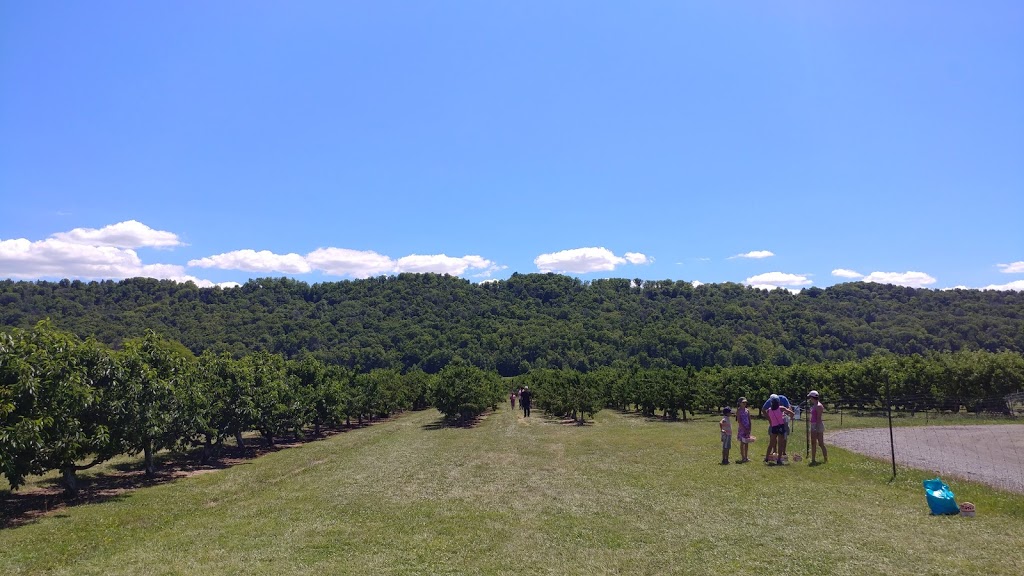 Sun Valley Farms | 1186 Hamilton Regional Rd 8, Winona, ON L8E 5K2, Canada | Phone: (289) 237-3893