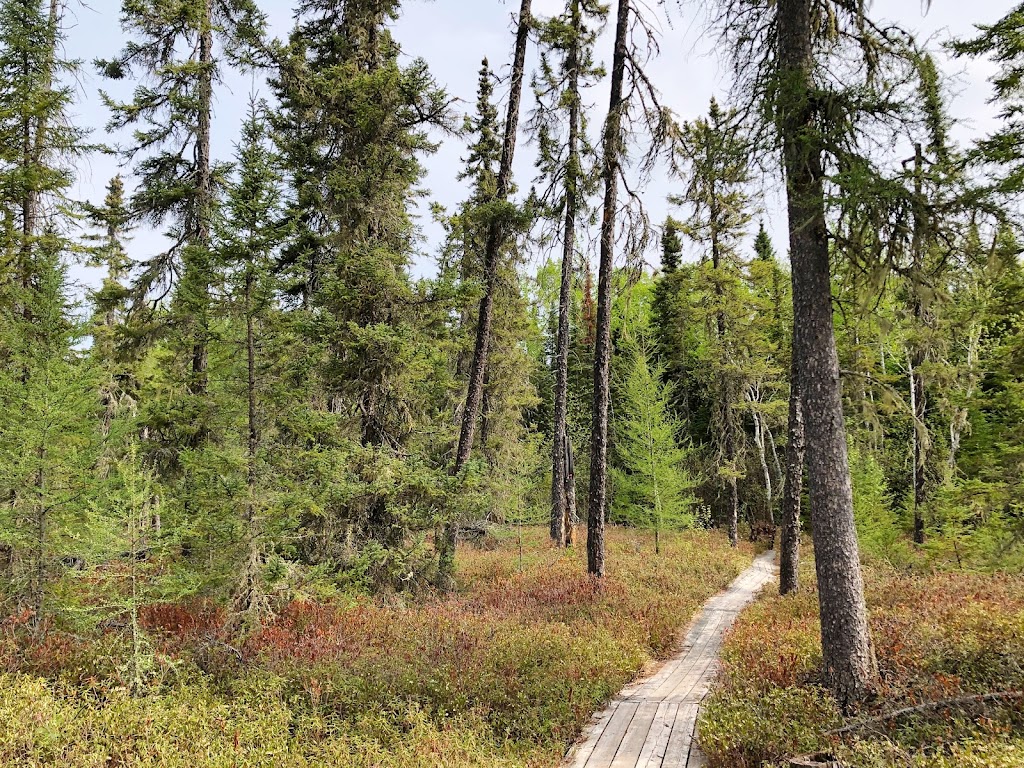 Amisk Self-guiding Trail | MB-307, Manitoba R0E 1R0, Canada | Phone: (204) 369-3157