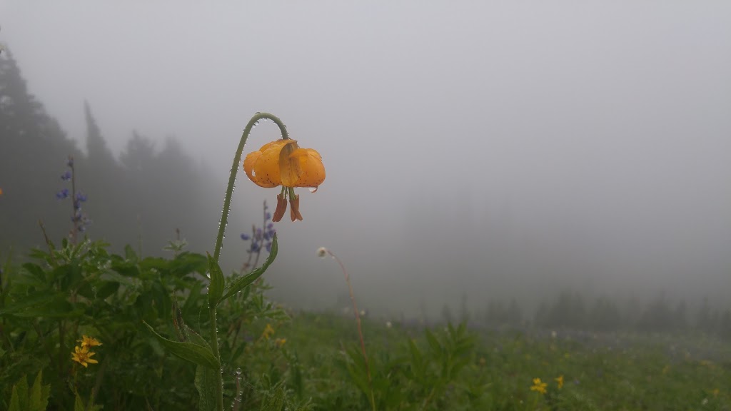 Liumchen Ecological Reserve | Rosedale, BC V0X 1X0, Canada | Phone: (800) 689-9025