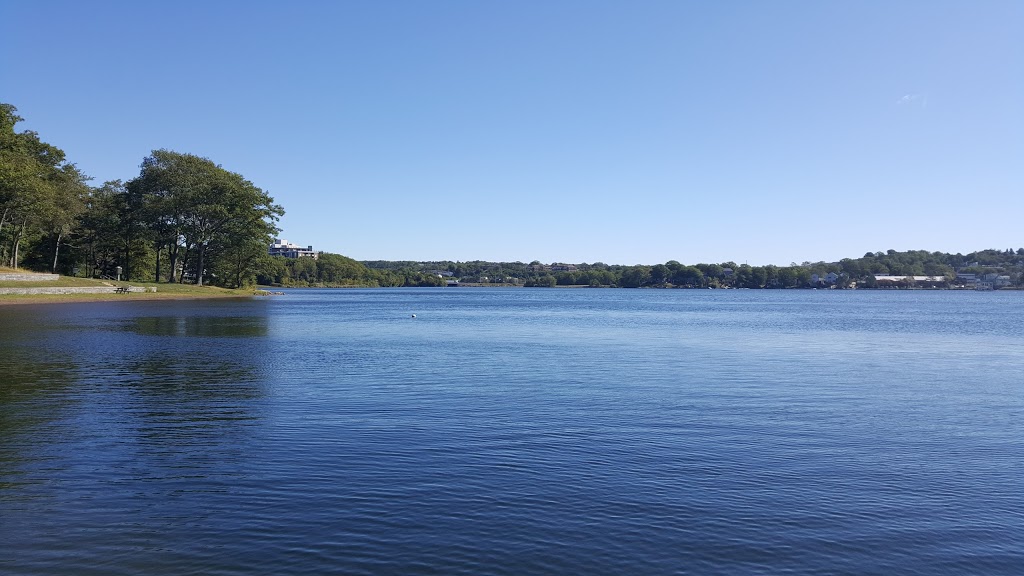 Birch Cove Park | 44 Oakdale Crescent, Dartmouth, NS B3A, Canada
