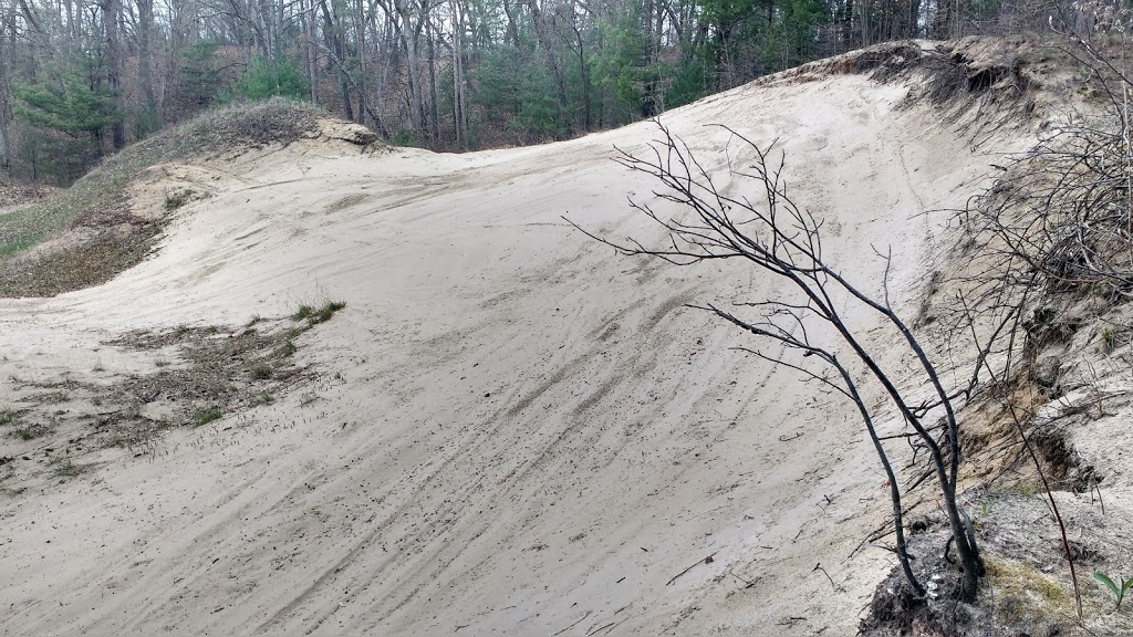 Karner Blue Sanctuary | 9900 Nipigon St, Port Franks, ON N0M 2L0, Canada