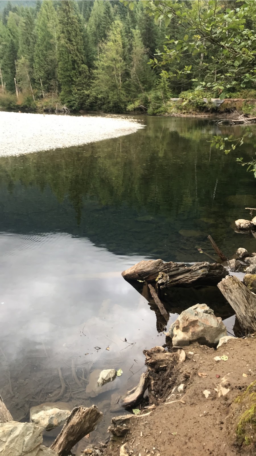 East West Canyon Connector | E Canyon Trail, Maple Ridge, BC V0M, Canada