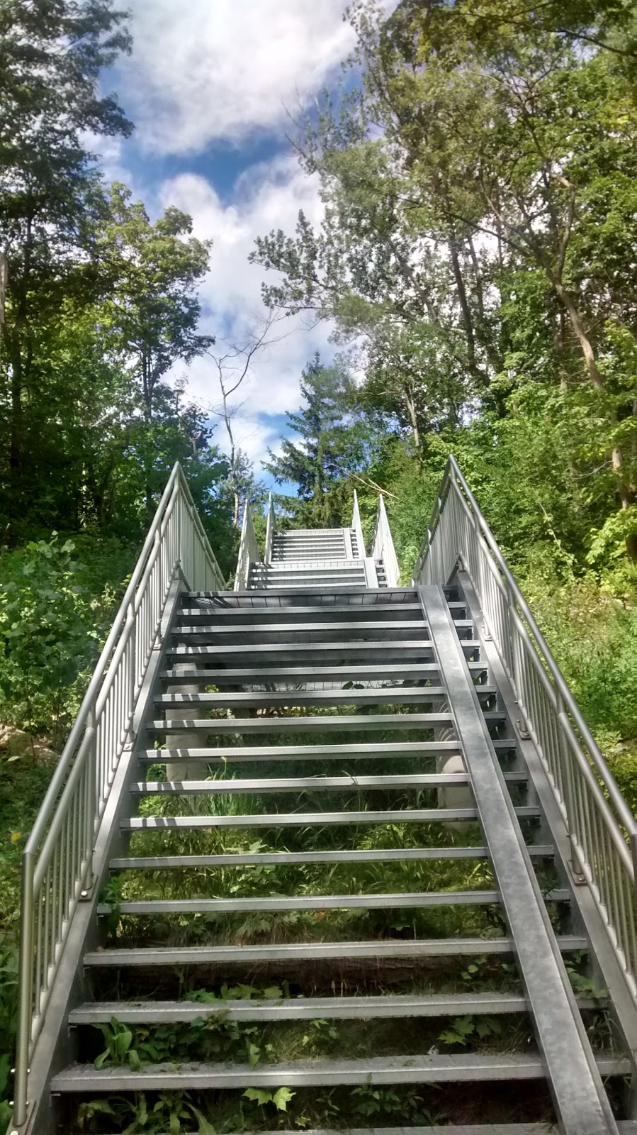 Derrydowns Park | 227 Derrydown Rd, North York, ON M3J 1S2, Canada | Phone: (416) 338-4386