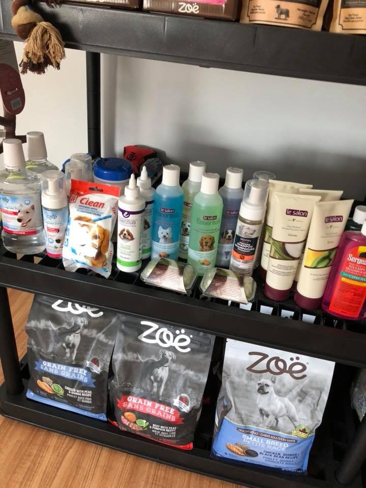 Not Your Ordinary Pet Shop | 255 King St, Welland, ON L3B 3J9, Canada | Phone: (289) 407-0993