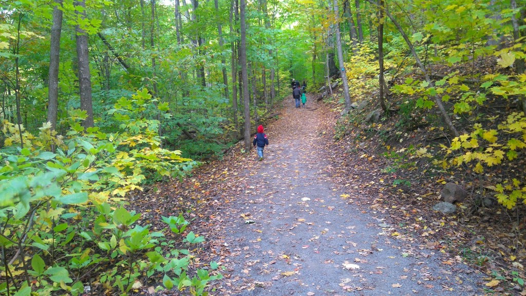 Ken Steele Park | 1195 Ogilvie Rd, Ottawa, ON K1J 1J9, Canada | Phone: (613) 580-2400