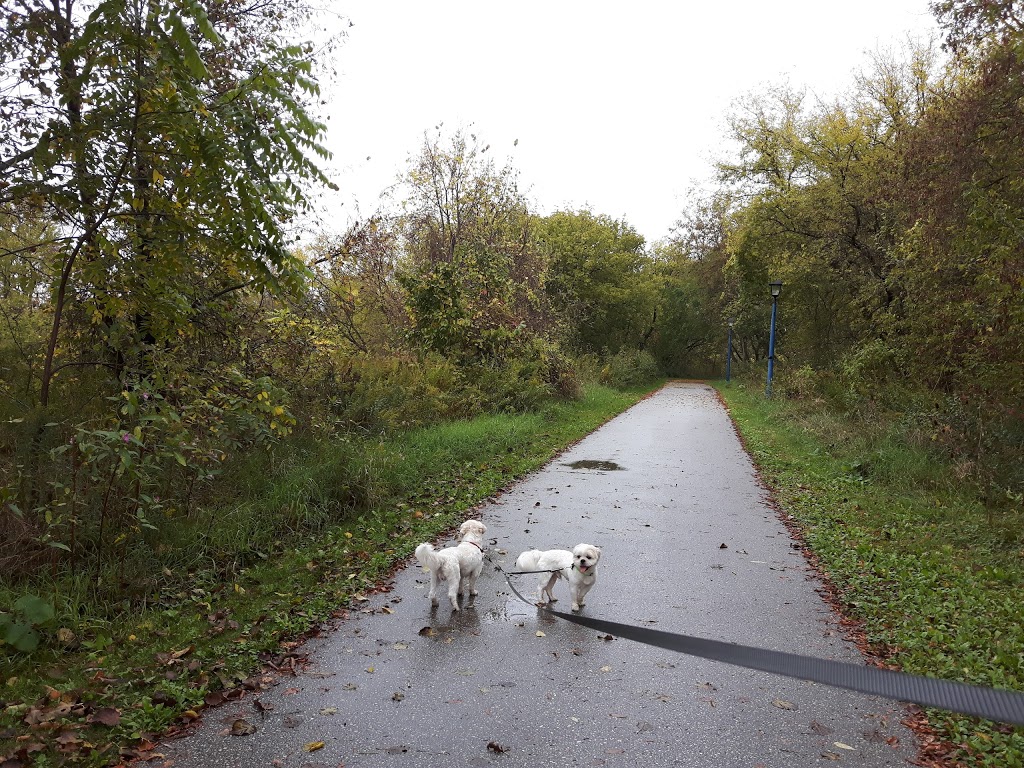 Mabel Davis Conservation Area | 120 Bayview Pkwy, Newmarket, ON L3Y 4X1, Canada | Phone: (905) 895-1281