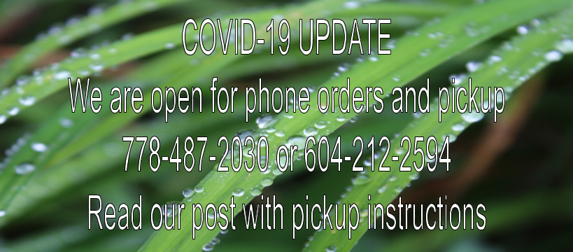 Remedy Wellness Centre | 12808 Madeira Park Rd, Madeira Park, BC V0N 2H1, Canada | Phone: (778) 487-2030