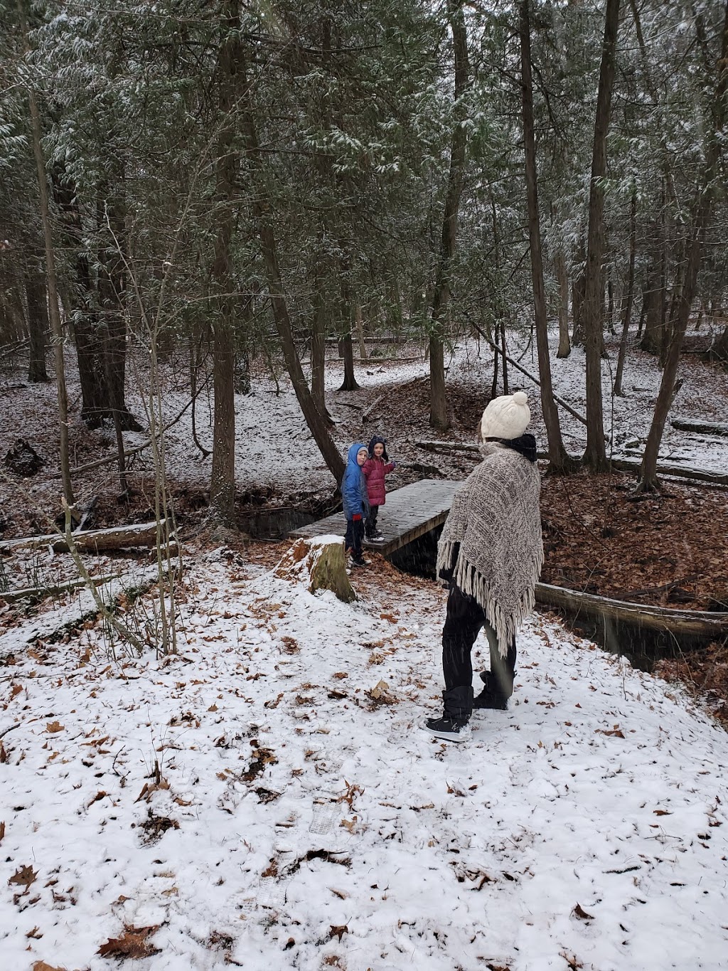 Sidney Conservation Area | 379 Airport Rd, Stirling, ON K0K 3E0, Canada | Phone: (613) 968-3434
