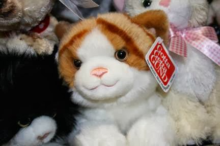 Claytons Toys | 5225 Main St, Williamsville, NY 14221, USA | Phone: (716) 633-1966