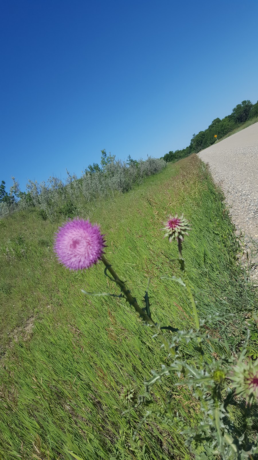Lower Chalet B Campground | Marquis No. 191, SK S0H 4C0, Canada | Phone: (306) 694-3320