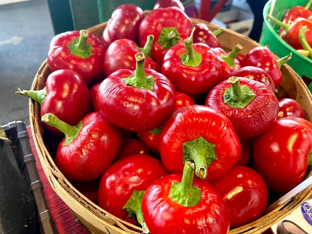 Le Potager de Magalie & Frères | 1200 Chem. de Saint-Jean, La Prairie, QC J5R 4S4, Canada | Phone: (438) 507-4843