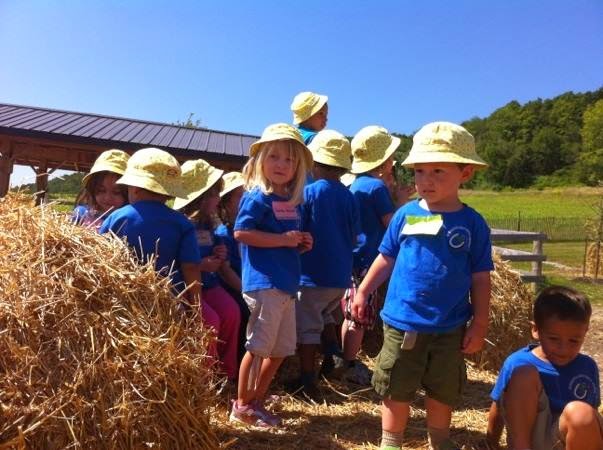 Learning Blocks Montessori School | 258 Commercial St, Milton, ON L9T 3C3, Canada | Phone: (905) 878-7552