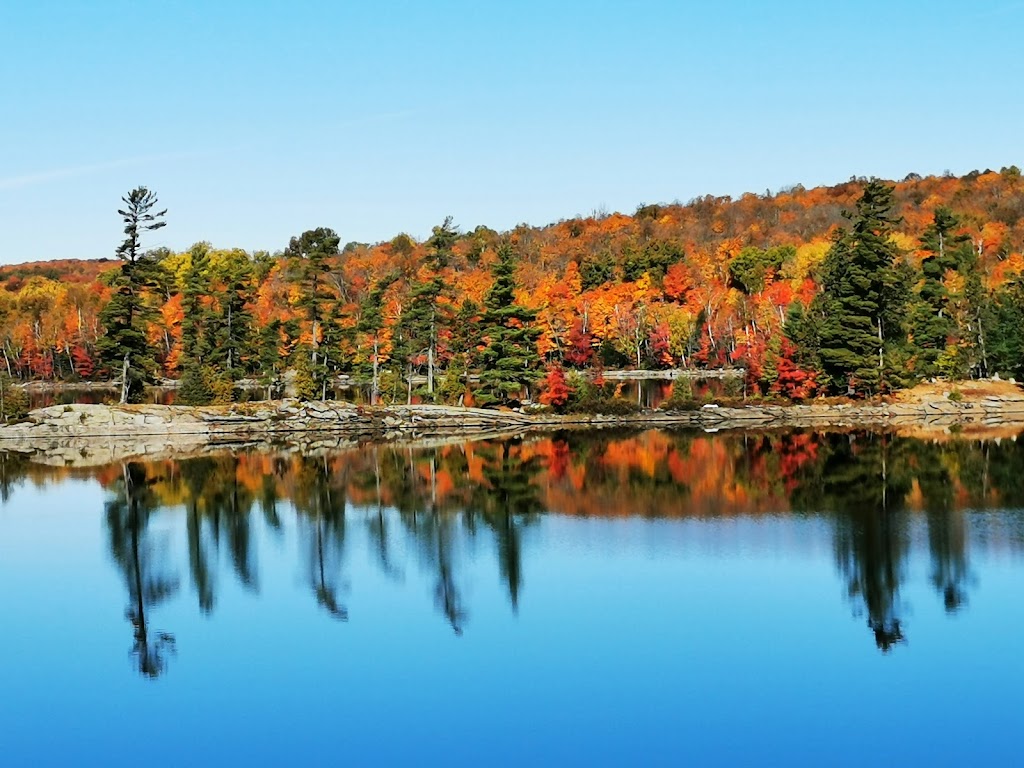 The Waters Edge on Spruce Lake | Chandler Dr, Haliburton, ON K0M 1S0, Canada | Phone: (416) 464-6664