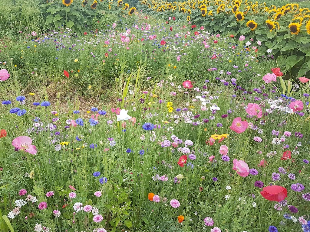 Yarrow Ecovillage | 42312 Yarrow Central Rd, Chilliwack, BC V2R 5E2, Canada | Phone: (604) 823-0232