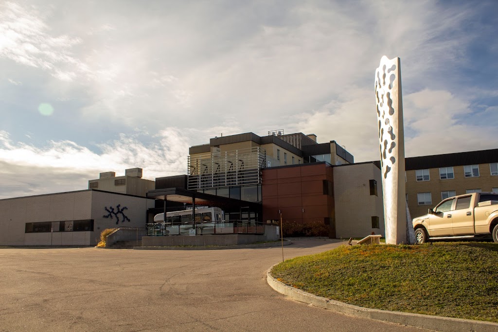 Hospital Dolbeau-Mistassini | 2000 Bd Sacré-Coeur, Dolbeau-Mistassini, QC G8L 2R5, Canada | Phone: (418) 276-1234