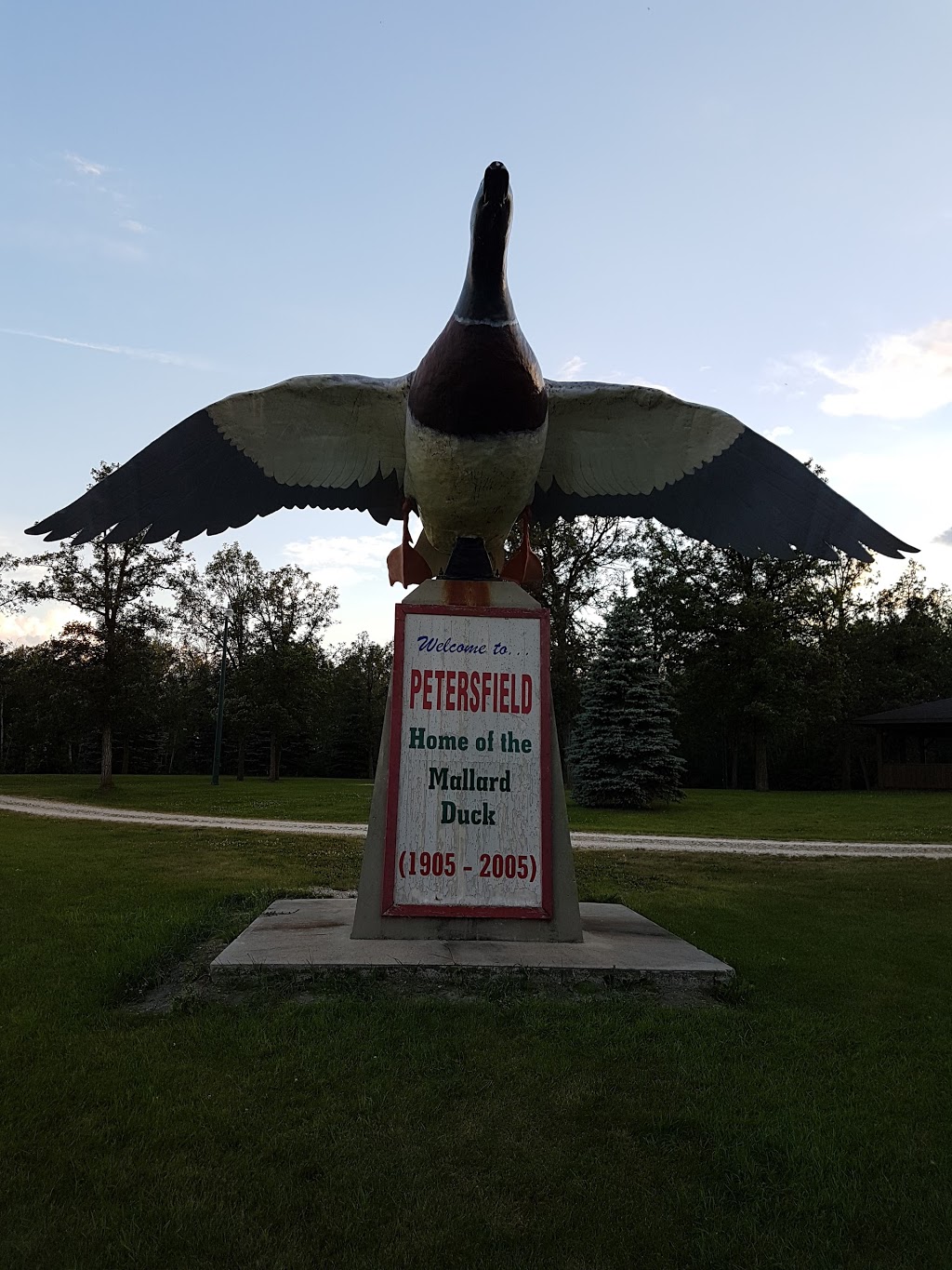 Petersfield Mallard Duck Statue | 8949 Provincial Trunk Hwy 9, Petersfield, MB R0C 2L0, Canada