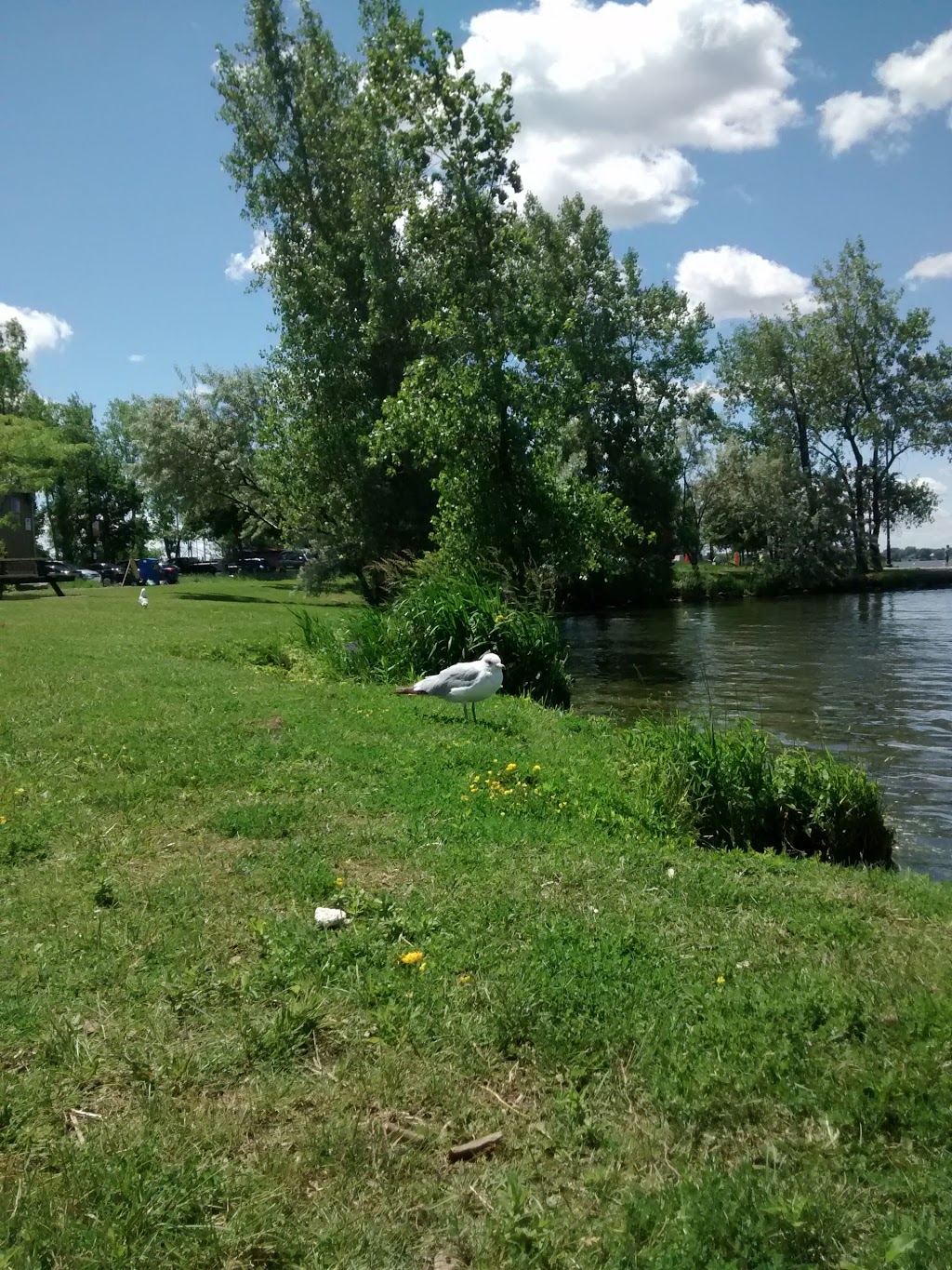 Parc Jean-Béliveau | 21 Rue Perron, Saint-Constant, QC J5A 1H2, Canada | Phone: (450) 638-2010
