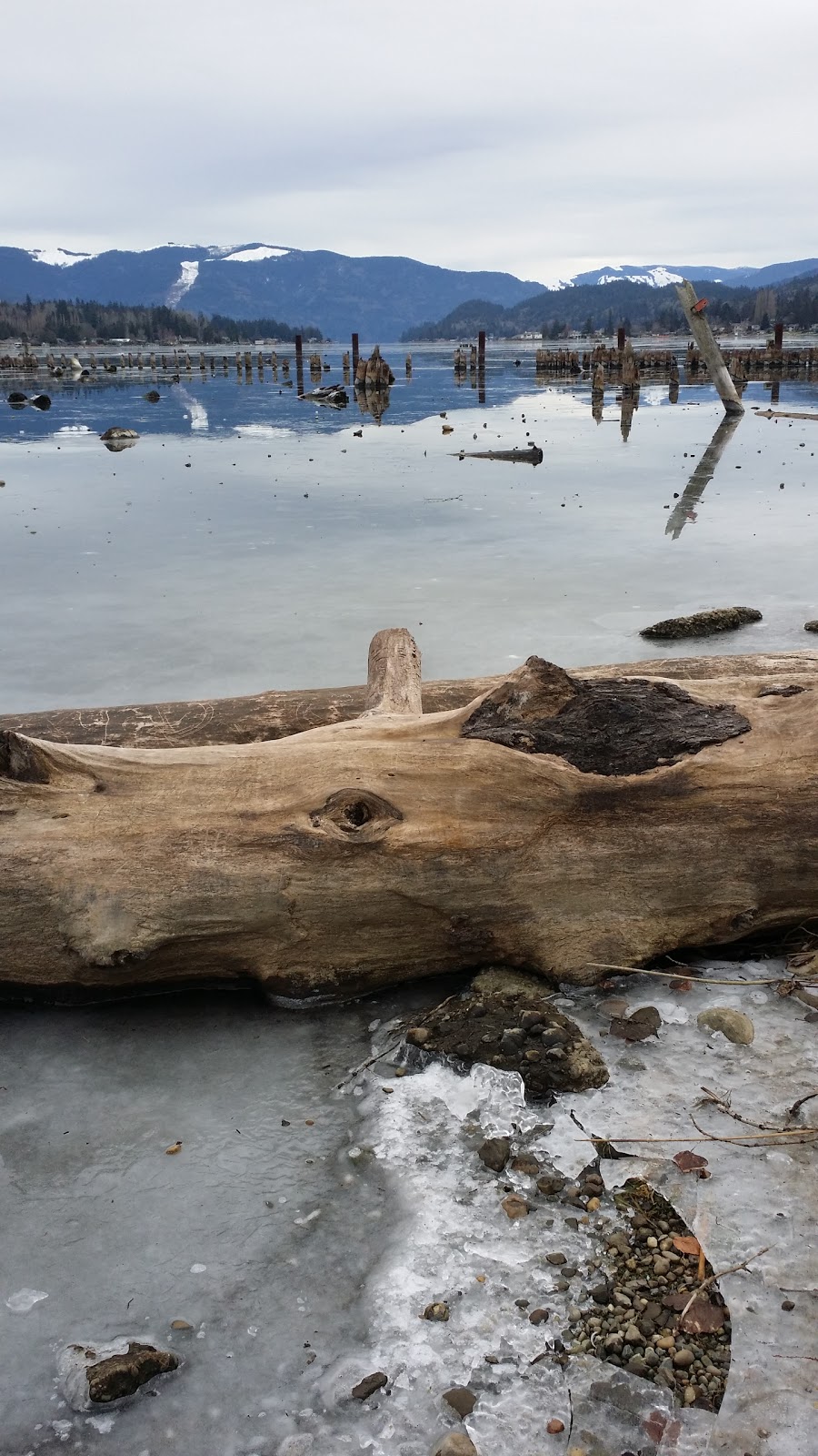 Bloedel Donovan Park | 2114 Electric Ave, Bellingham, WA 98229, USA | Phone: (360) 778-7000